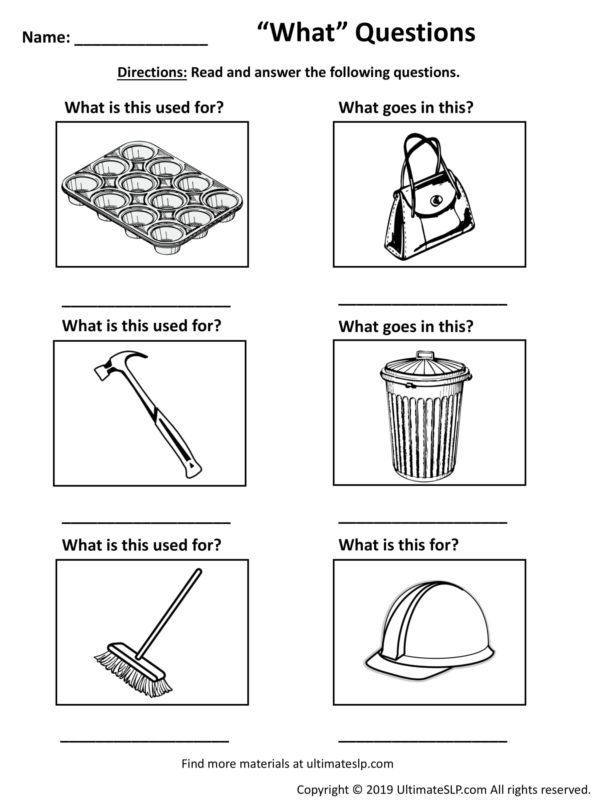 What Questions Worksheet - Ultimate Slp