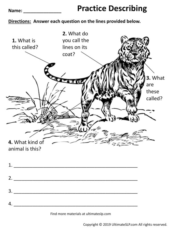 Describing Worksheet 1 - Ultimate SLP