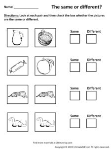 Same or Different Worksheet 2 - Ultimate SLP