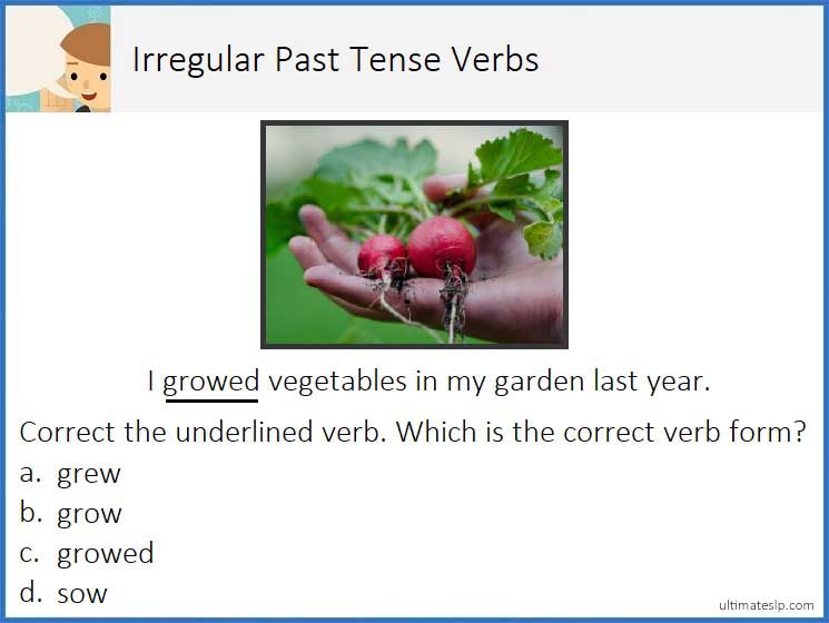 Past Tense Verb Flashcards